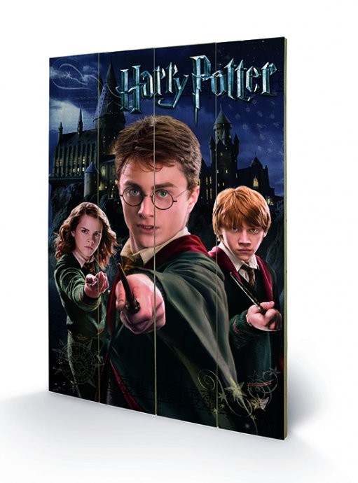 Ξύλινη τέχνη Harry Potter – Harry, Ron, Hermione