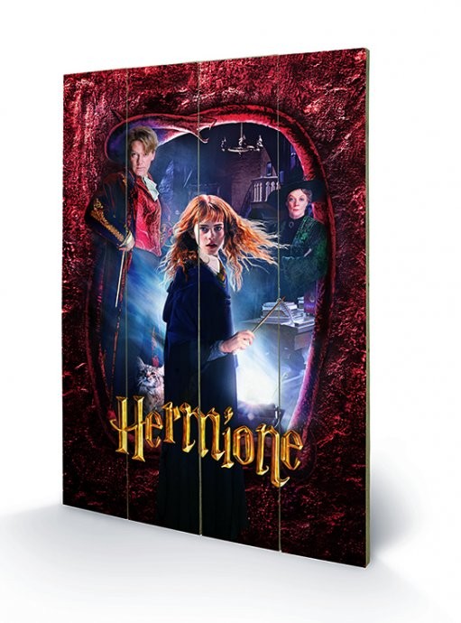 Ξύλινη τέχνη Harry Potter - Hermione