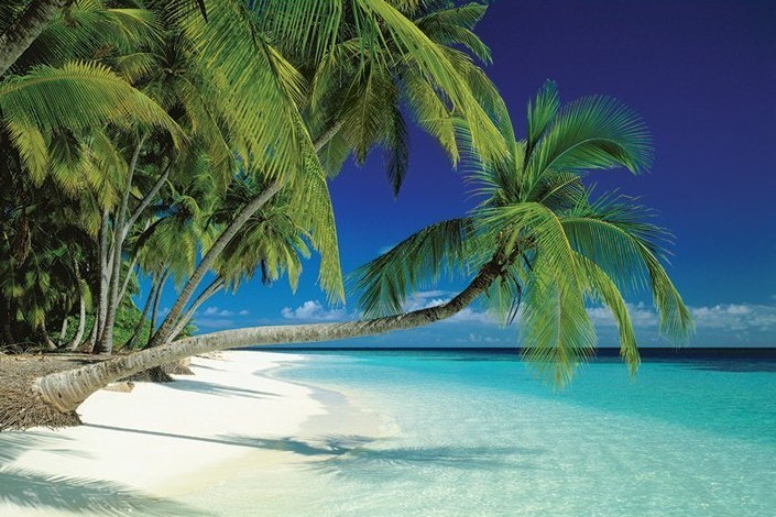 Poster Maledives