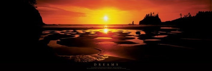 Framed Poster Dreams