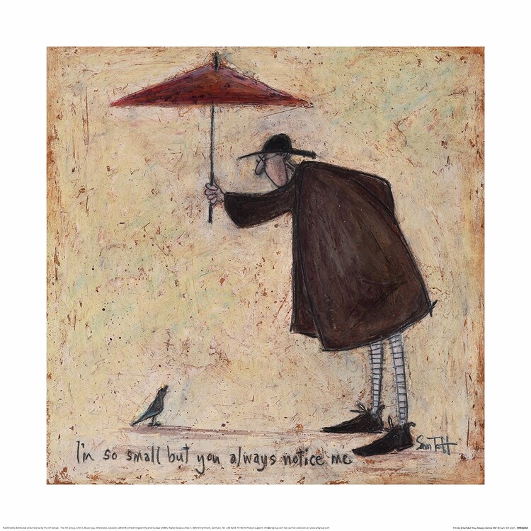 Sam Toft - I'm So Small But You Always Notice Me Картина