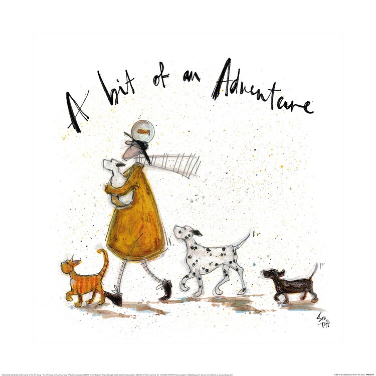 Sam Toft - A Bit Of An Adventure Картина