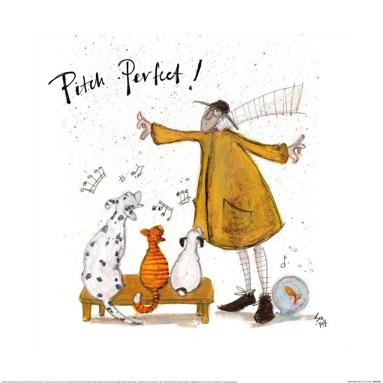 Sam Toft - Pitch Perfect Картина