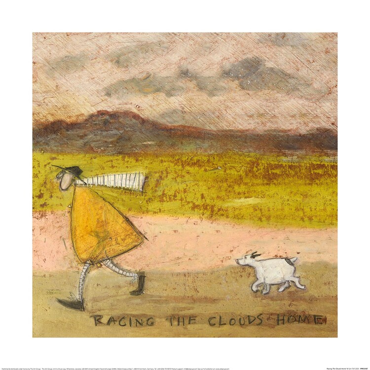Sam Toft - Racing The Clouds Home Картина