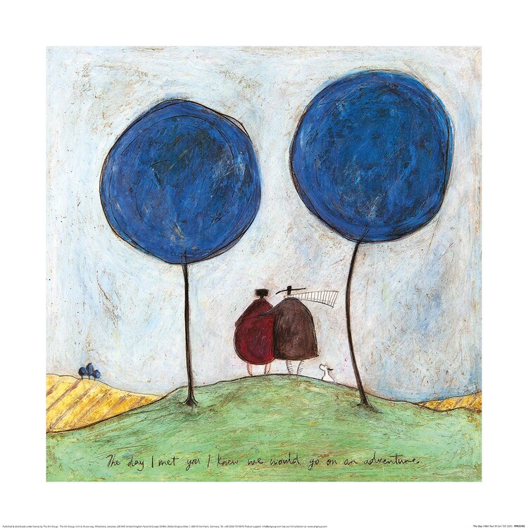 Sam Toft - The Day I Met You Картина