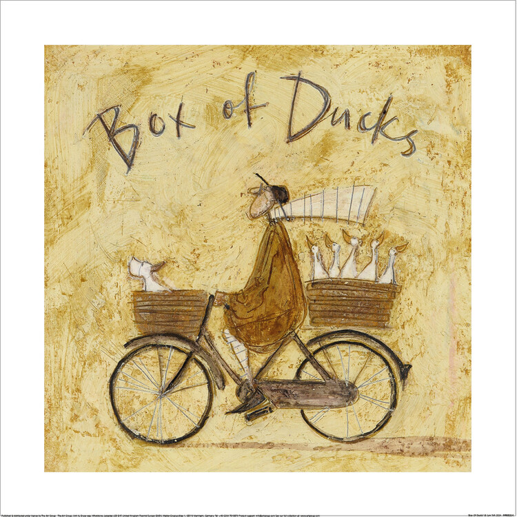 Εκτύπωση τέχνης Sam Toft - Box Of Ducks