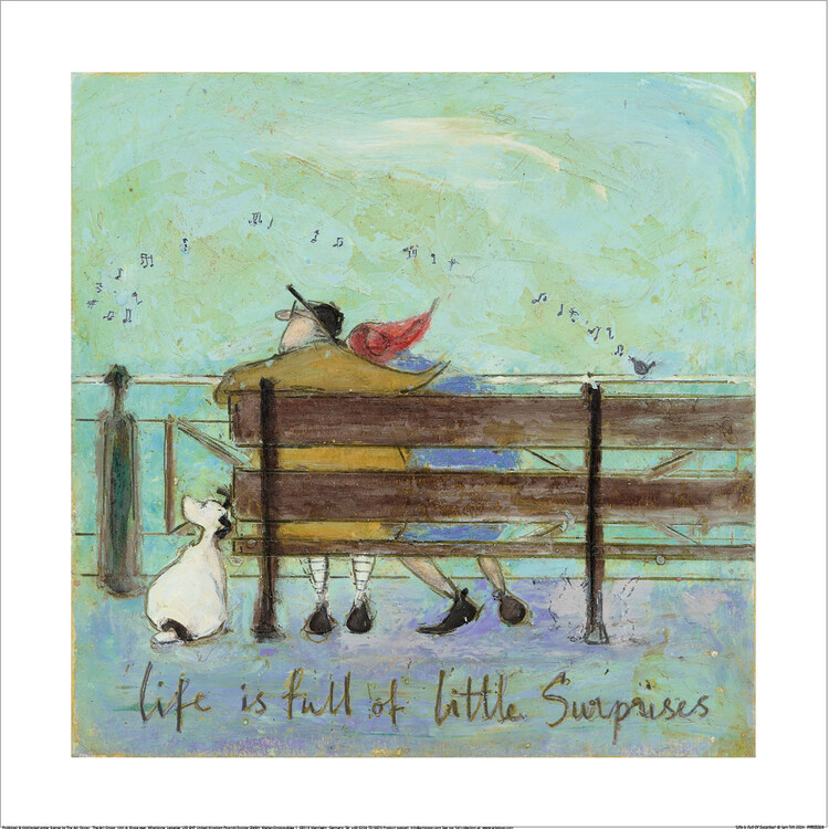 Sam Toft - Life Is Full Of Surprises Картина