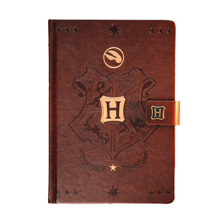 Notebook Harry Potter - Golden Snitch