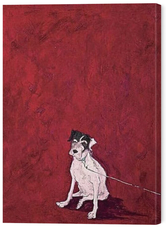 Принти на полотні Sam Toft - Lucky Legsie
