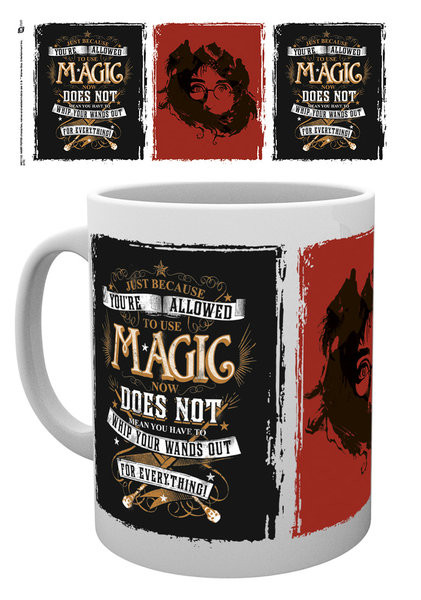 Κούπα Harry Potter - Whip Your Wand Out