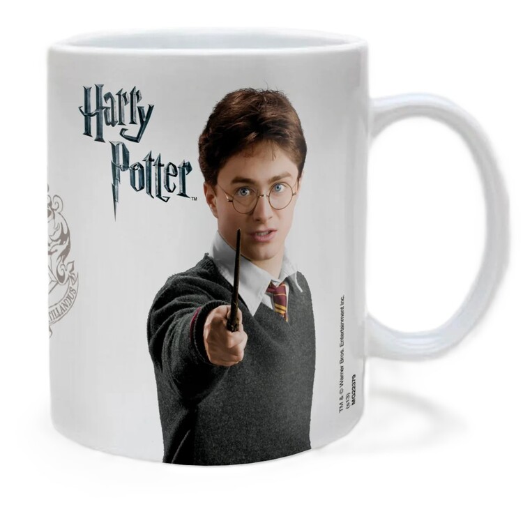 Κούπα Harry Potter