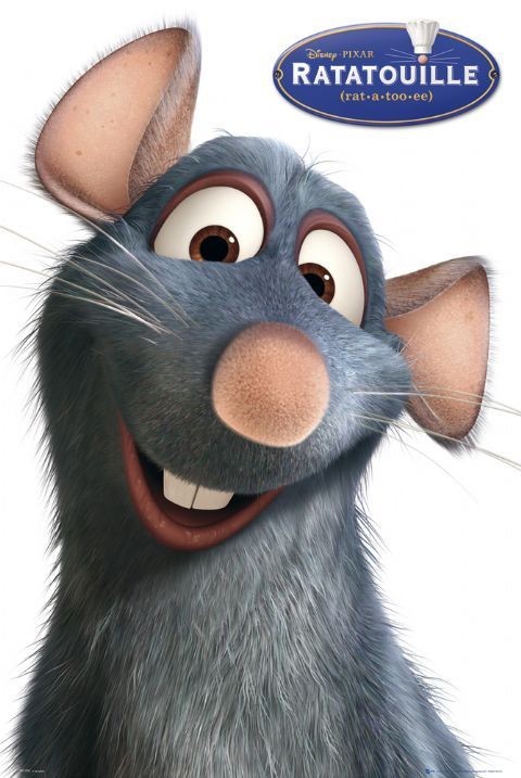 Плакат RATATOUILLE - solo