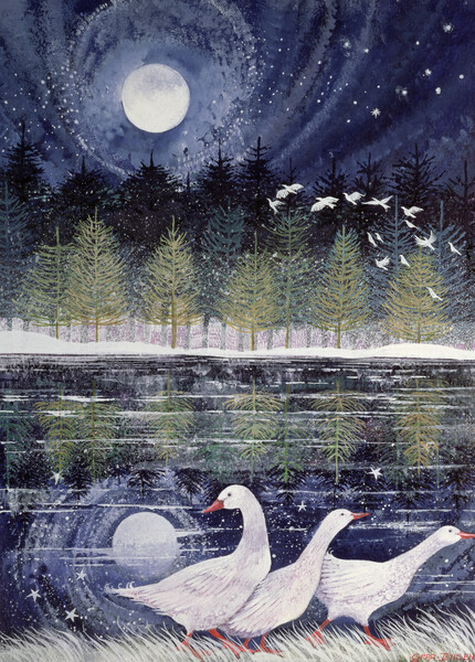 Плакат Snow Geese, 1995