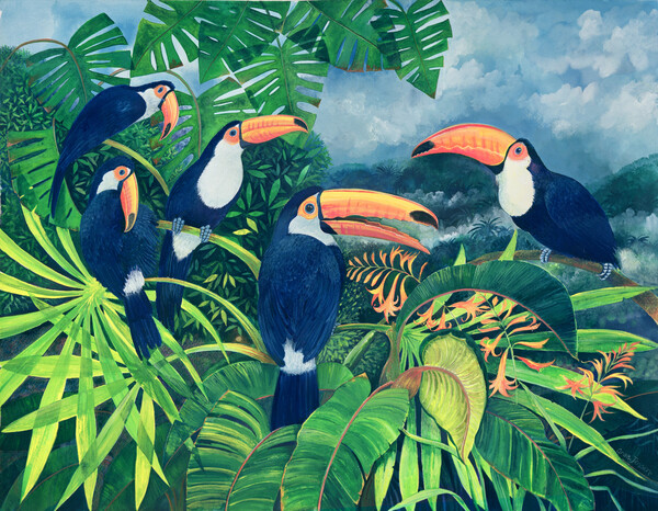 Плакат Toucan Talk  1999