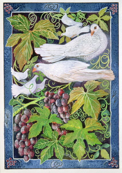 Плакат Doves, 1996