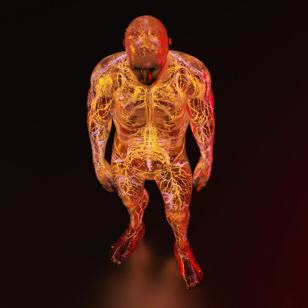 Плакат Internal Body Systems, c.2015-2025