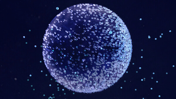 Плакат Spherical Accumulation Structure, c.2015-2025