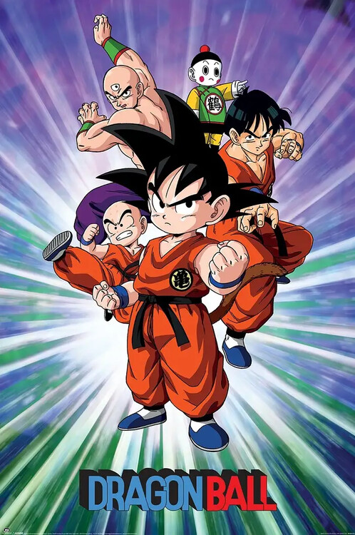 Poster Dragon Ball - Group