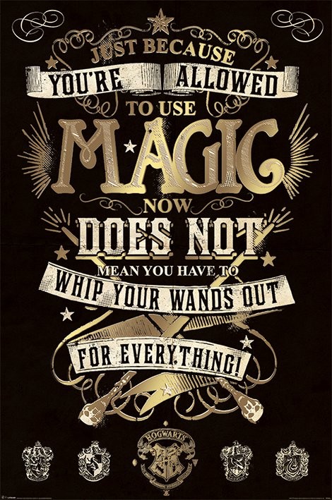 Плакат Harry Potter - Magic