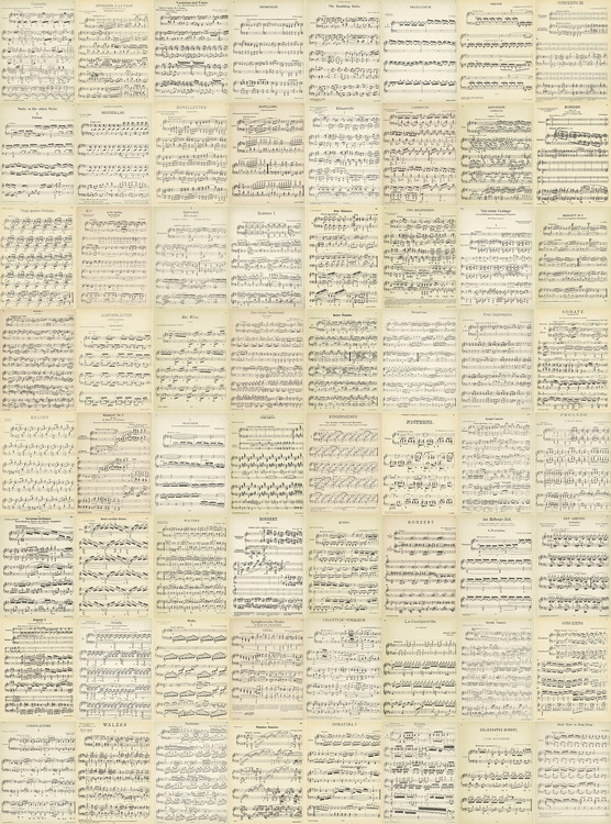 Wall Mural Music - Music Notes