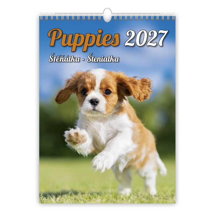 Kalenteri 2027 Puppies