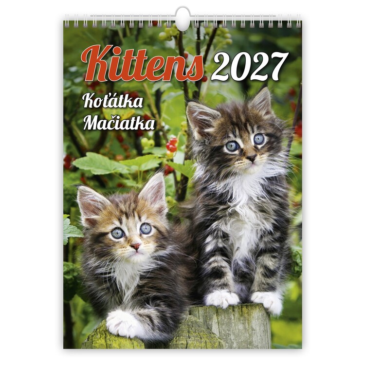 Koledar 2027 Kittens