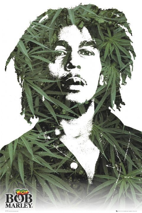Плакат Bob Marley - leaves