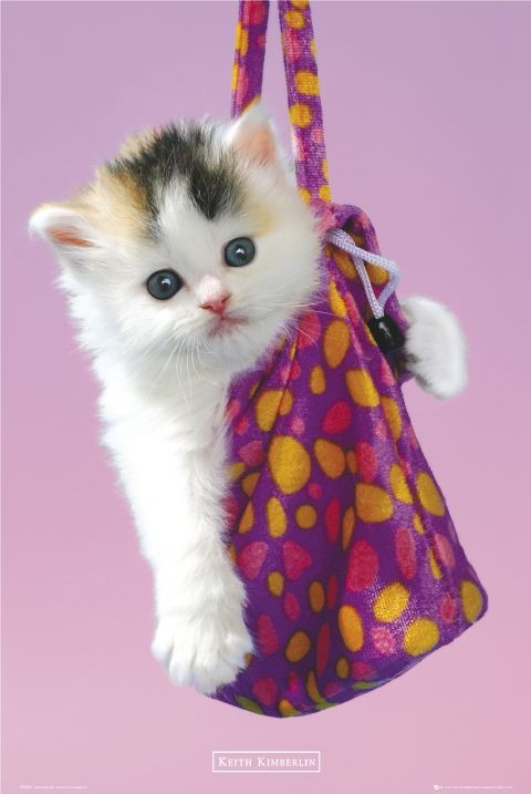 Плакат Keith Kimberlin – handbag