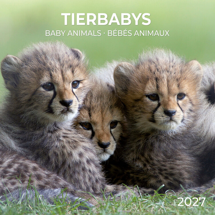 Kalenteri 2027 Baby Animals