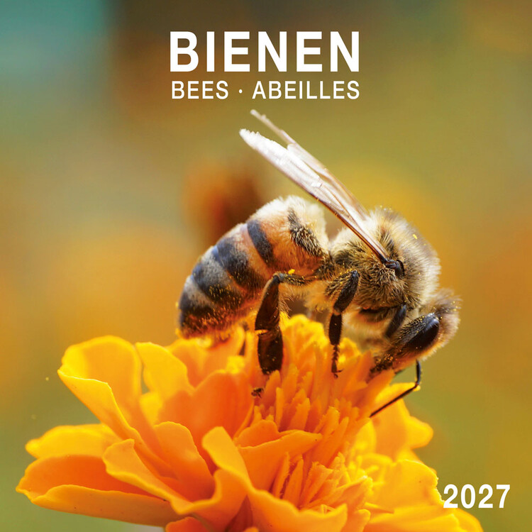 Kalendar 2027 Bees