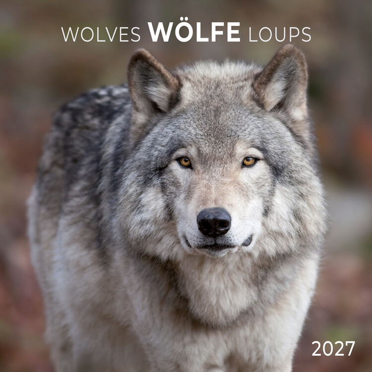 Kalendar 2027 Wolves