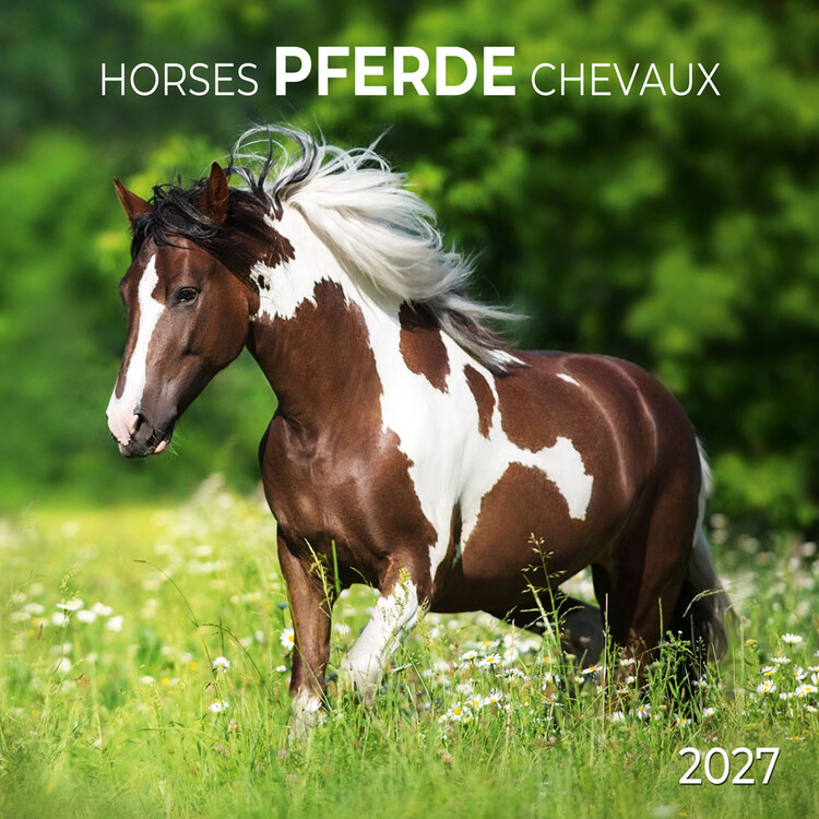 Koledar 2027 Horses