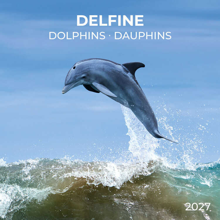 Kalenteri 2027 Dolphins