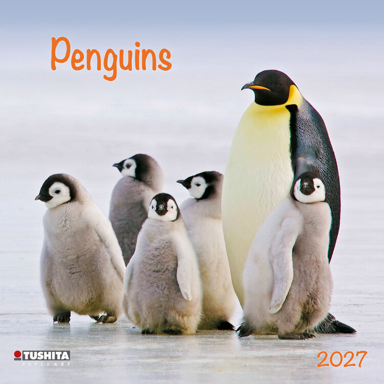 Kalendar 2027 Penguins | 16-mjesečni