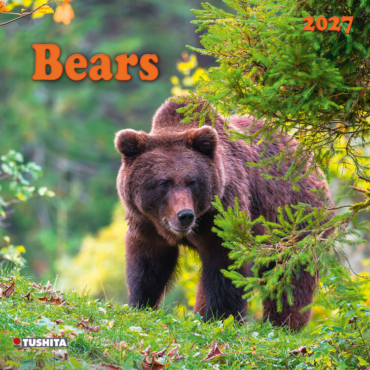 Koledar 2027 Bears | 16-mesečni