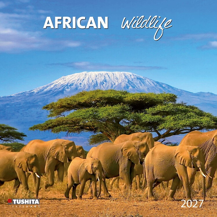 Calendar 2027 African Wildlife | 16-month