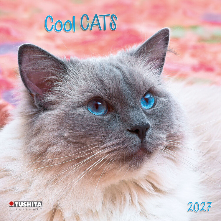 Calendar 2027 Cool Cats | 16-month