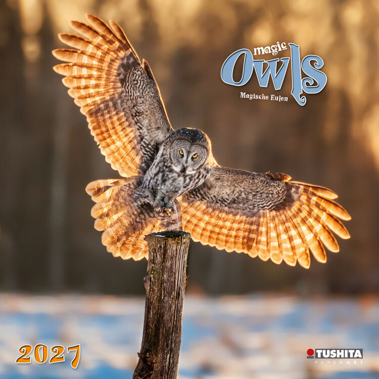 Koledar 2027 Magic Owls | 16-mesečni
