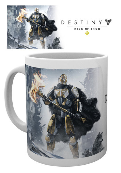 Κούπα Destiny - Rise Of Iron