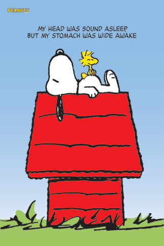 Плакат SNOOPY & WOODSTOCK