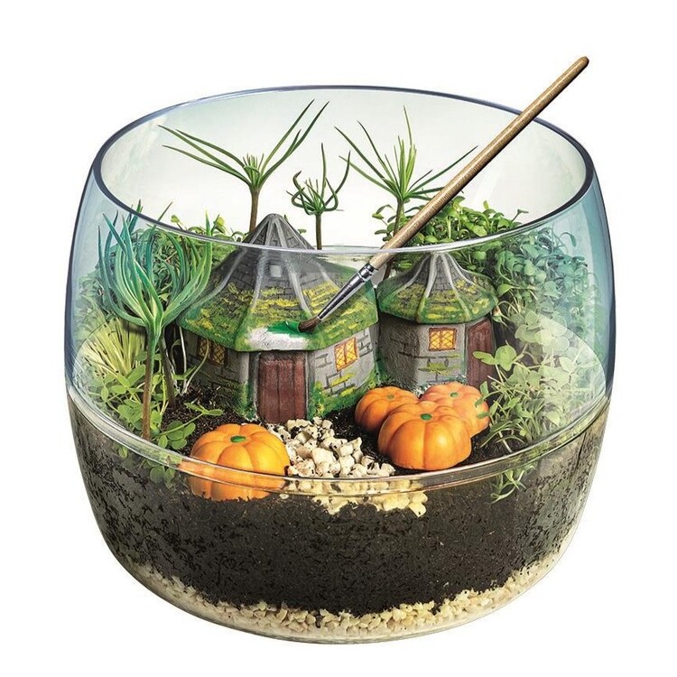 Ustvarjalni set Harry Potter - Terrarium