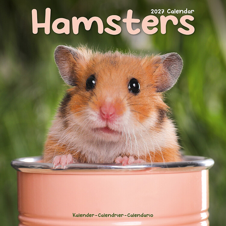Calendar 2027 Hamsters