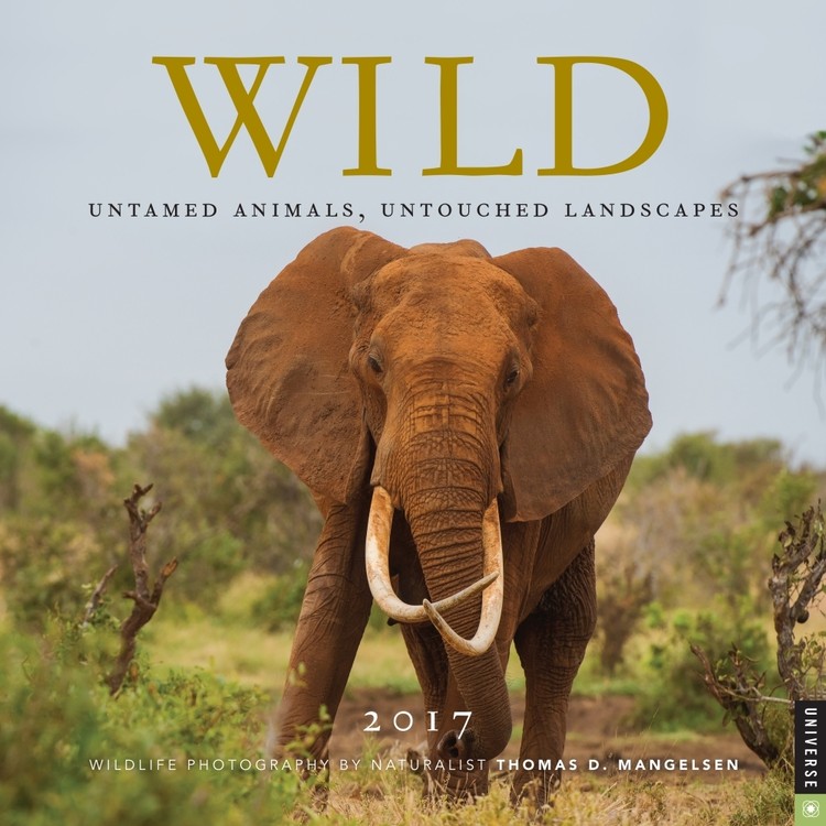 Calendar 2027 Wild Nature