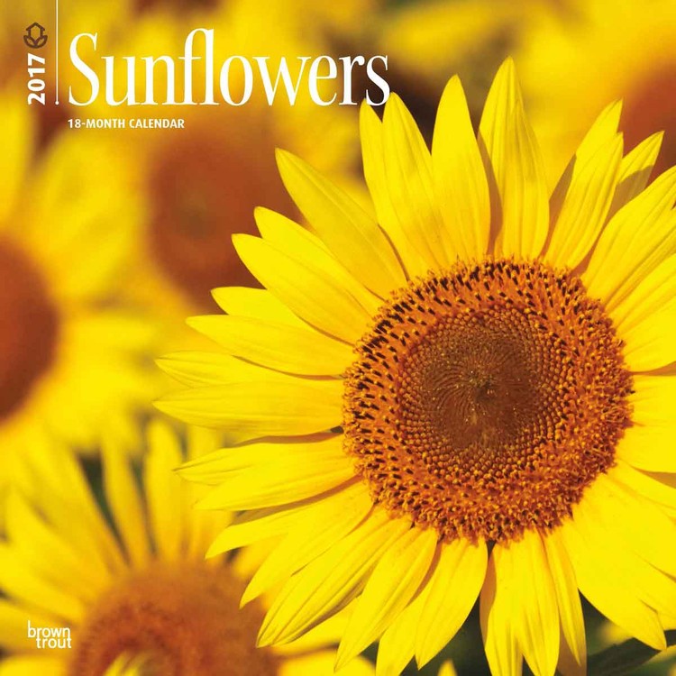 Календар 2027 Sunflowers