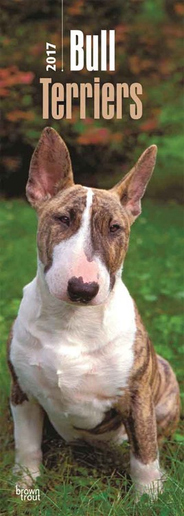 Ημερολόγιο 2027 Bull Terriers