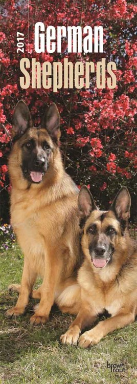 Calendar 2027 German Shepherds