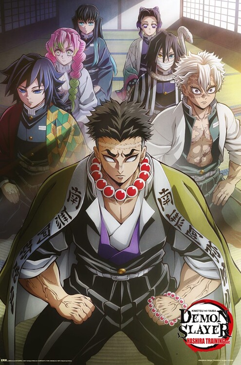 Плакат Demon Slayer - Hashira Training