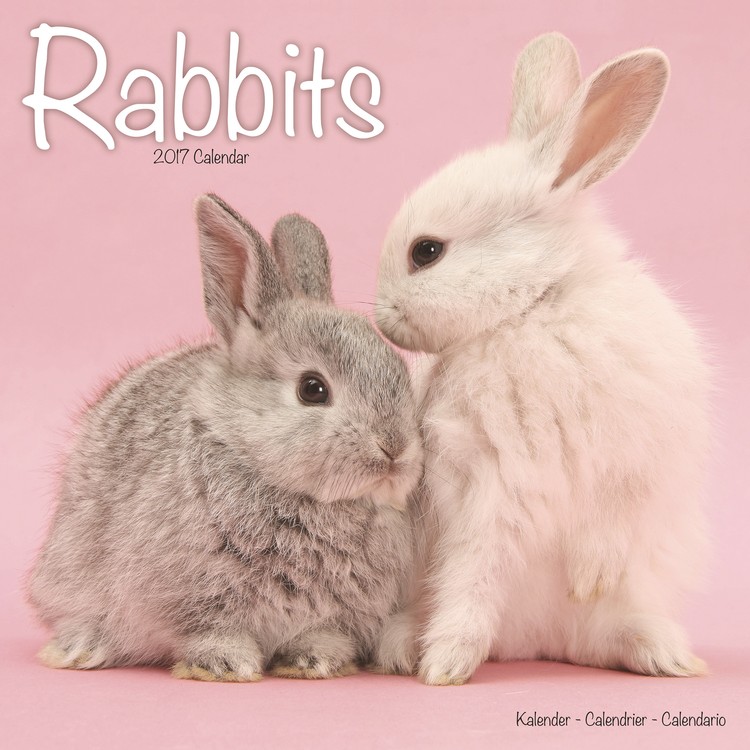 Календар 2027 Rabbits