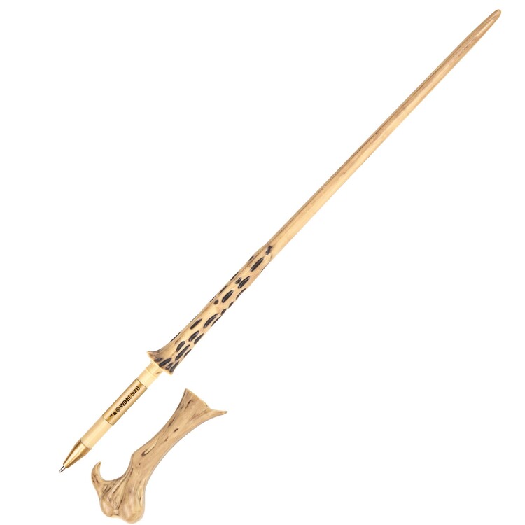 Stationery Harry Potter - Lord Voldemort