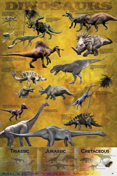 Плакат Dinosaurus - chart